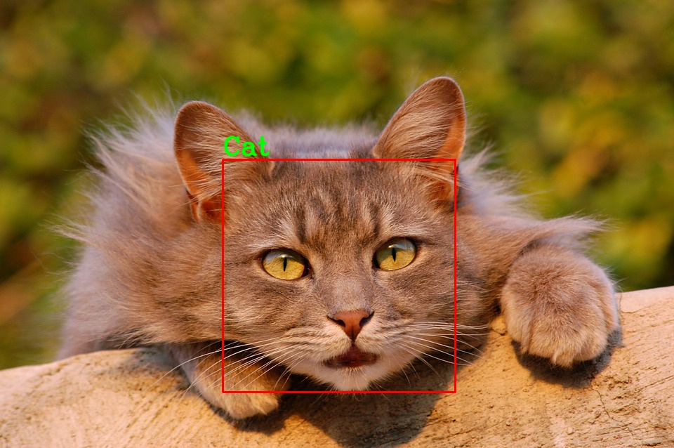 OpenCV檢測篇（一）——貓臉檢測